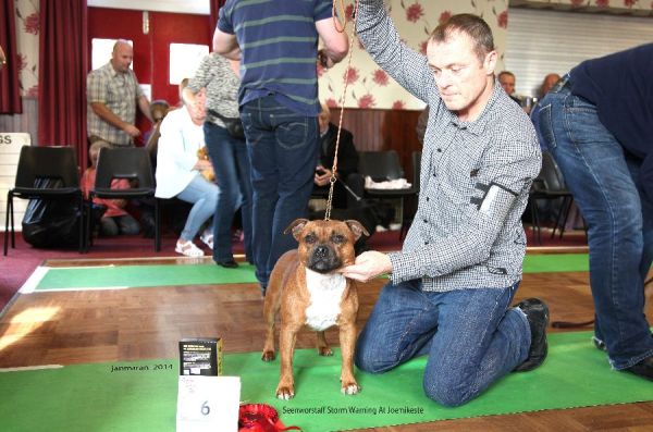 Web. 1st lb seenworstaff Storm Warning At Joemikeste nwsbtc open 19_edited-1