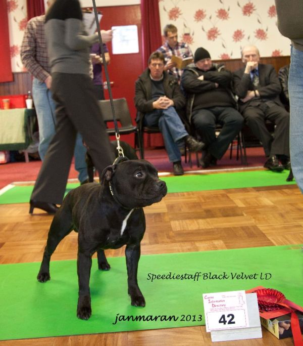 NWSBTC limited show LD 2