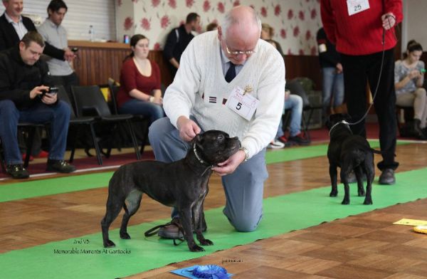 2nd VB Memorable Moments at Gantocks nw limit 18.1