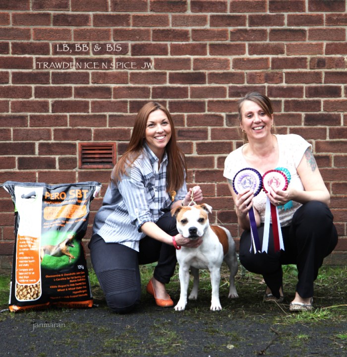 BB & BIS nwsbtc limited 24.1