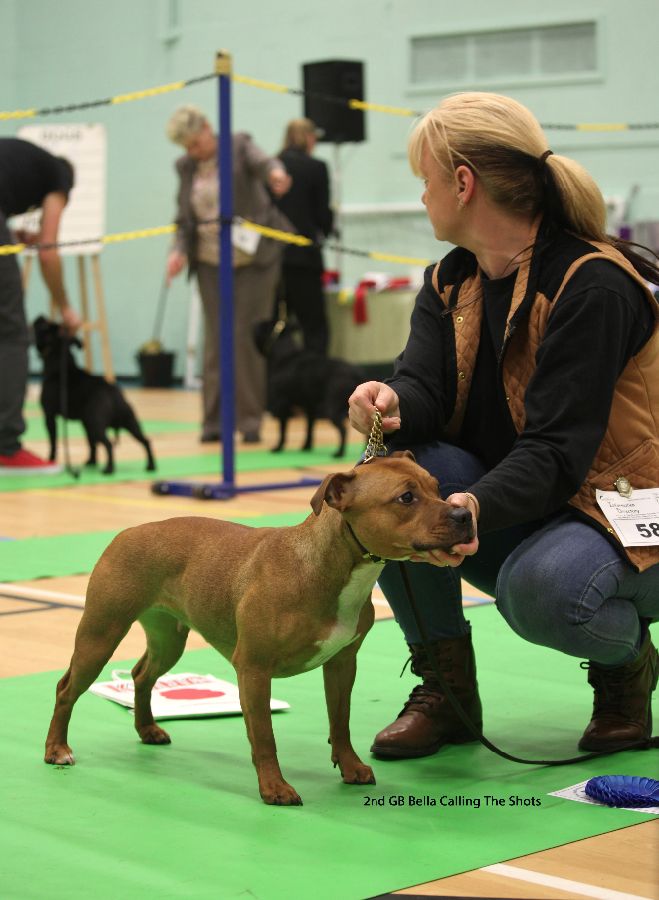 2nd GB Bella Calling The Shots