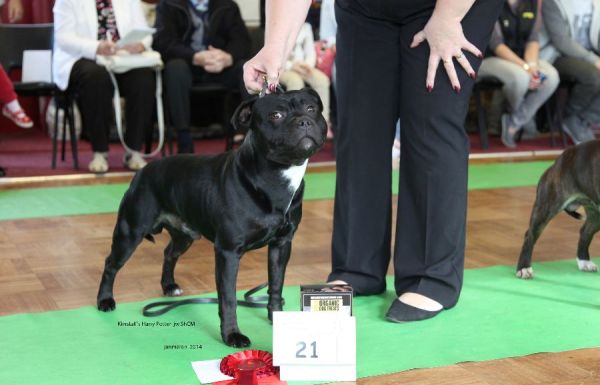 Web. 1st od KIMSTAFF'S harry potter jw Shcm nwsbtc open 1st LD 19_edited-1