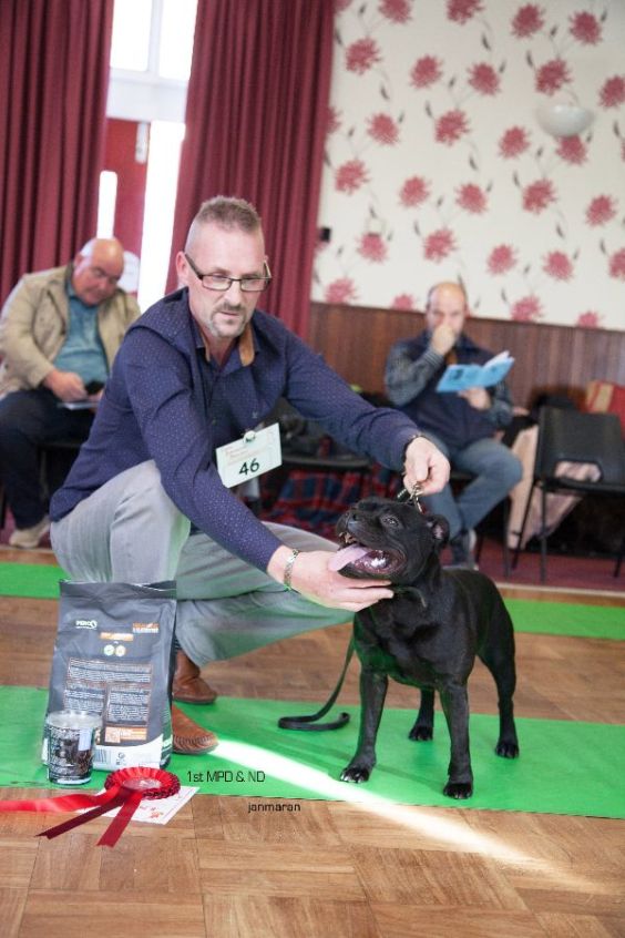 st-mpd-nd-beckash-up-n-atem-nw-open-23-10_edited-1