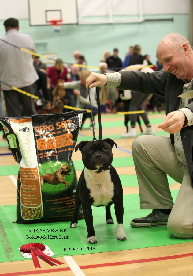 NWSBTC Ch show1st JB,YB,MB & NB