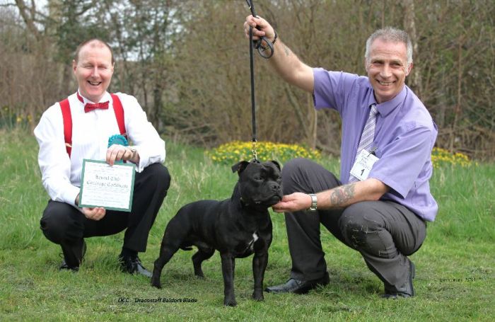 DCC Dracostaff Baldors Blade _edited-1