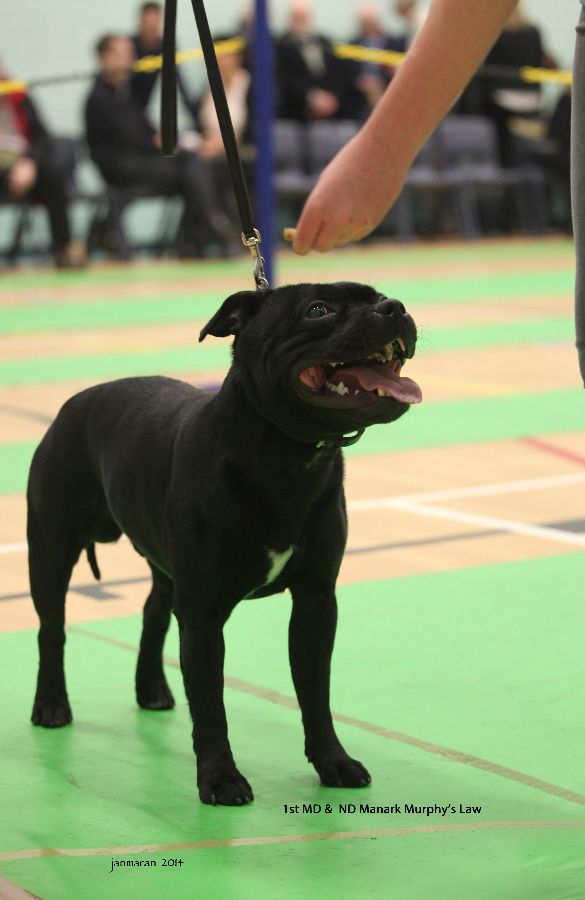 1st MD&ND Manark Murphy's Law