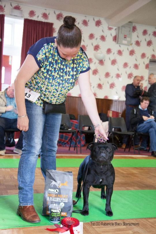 1st-od-rubericla-black-starscream-nw-open-23-10