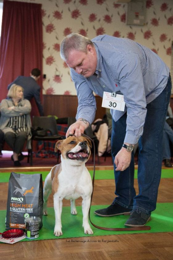 1st-ld-bellarouge-adonis-at-fergiestaffs-nw-open-23-10