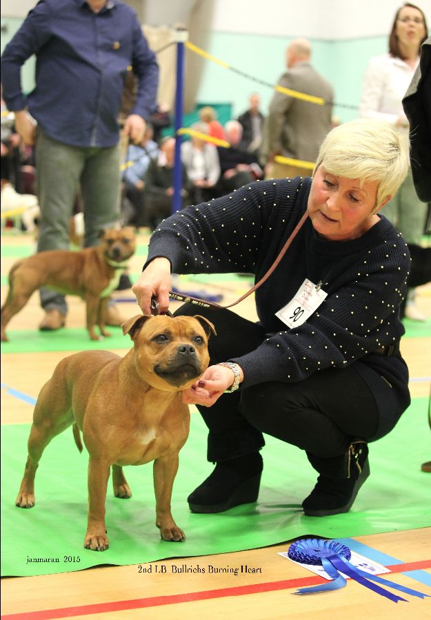 NWSBTC ch show LB 2nd