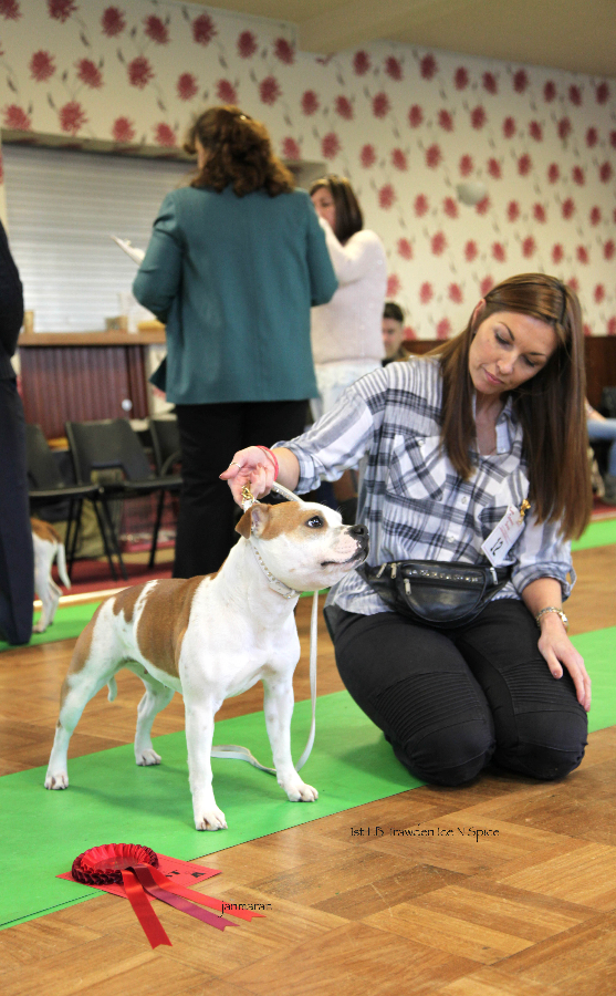 1st LB NWSBTC limit 24.1