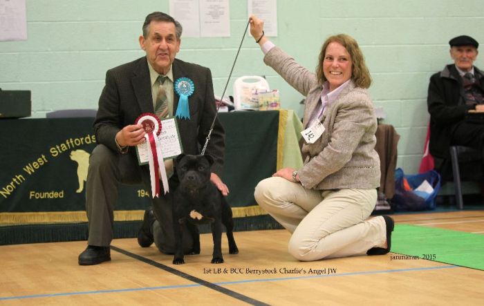 NWSBTC Ch show 1st LB&BCC