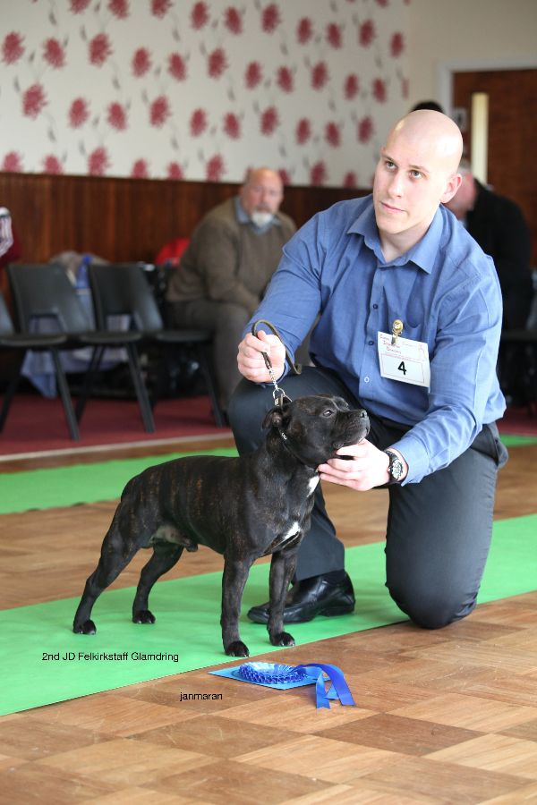 2nd JD nwsbtc open show 11.10