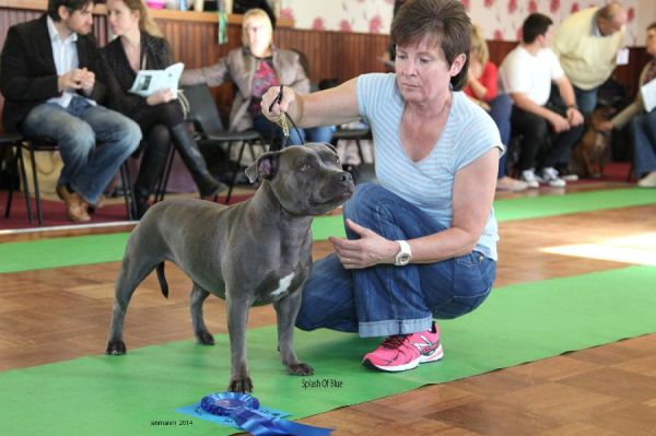 Web. 2nd yb Splash Of Blue nwsbtc open 19_edited-1