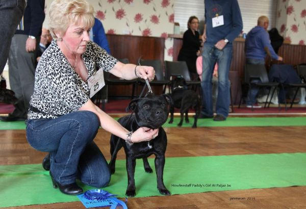 Web. 2nd ob nwsbtc open 19