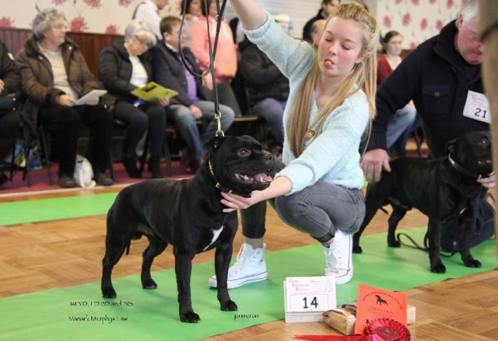 !st YD,LD,BD&BIS Manark M L nw limit 18.1