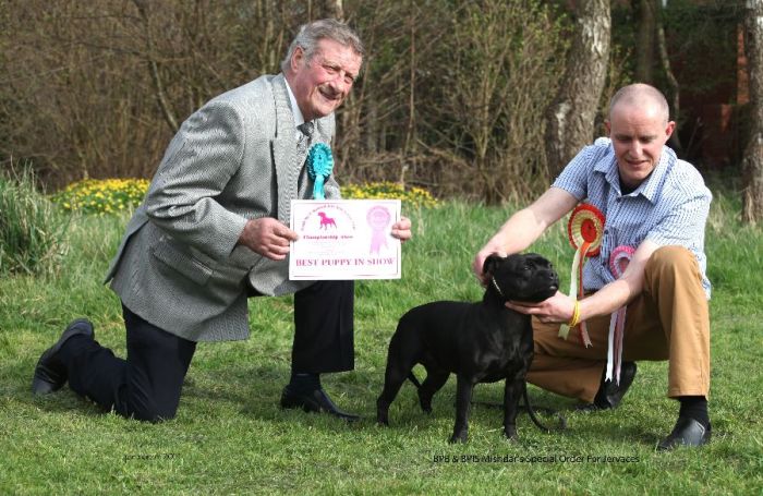 PIC 2 BPB& BPIS Mishdar's Special Order For Jervaces