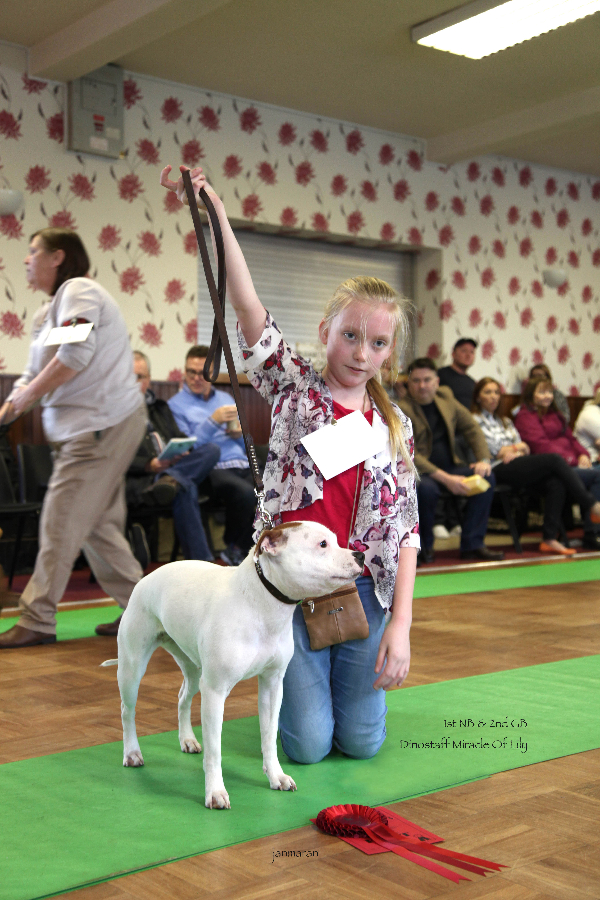 NB&GB pic2 NWSBTC limit 24.1_edited-1