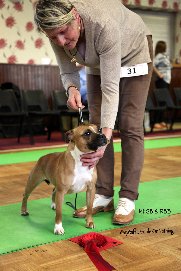 RBB nwsbtc limit 24.1