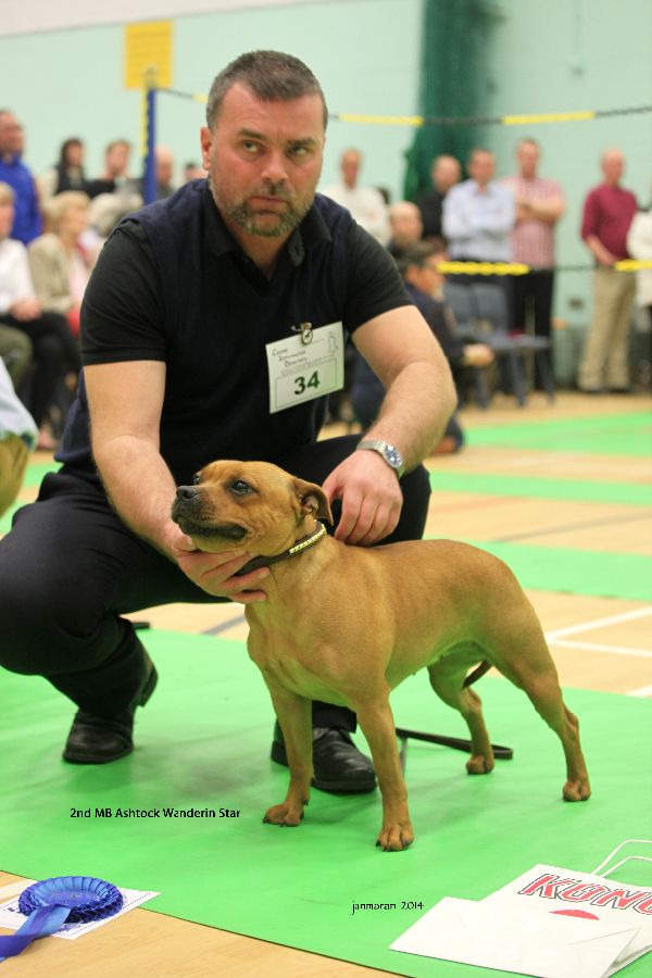 2nd MB Ashtock Wanderin Star