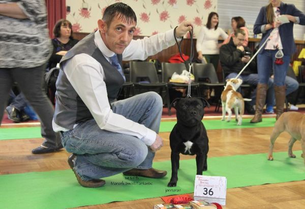 1st MPB Manark Sweet Fantastic nw limit 18.1