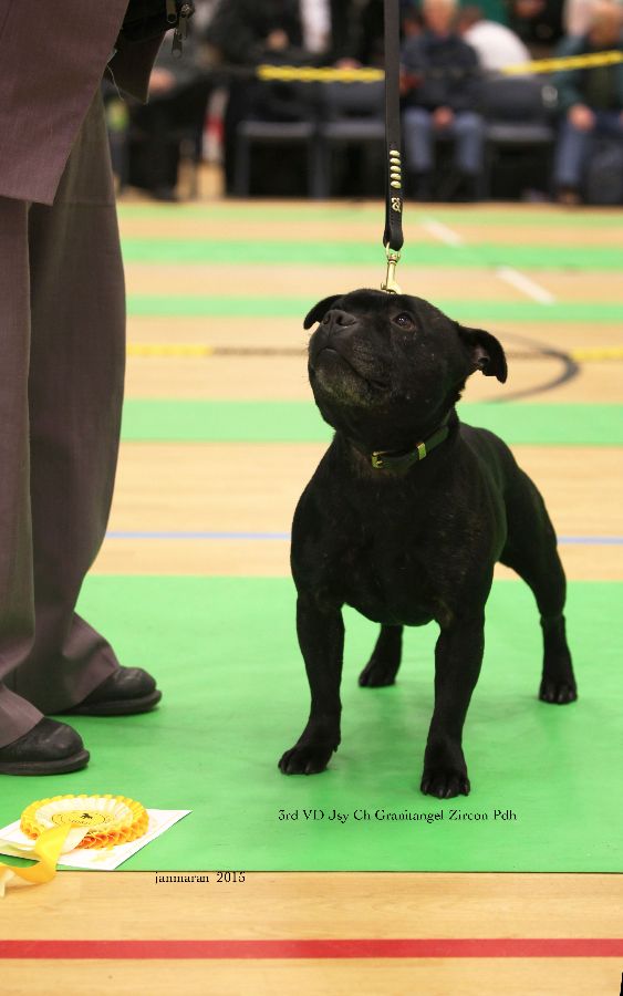 NWSBTC Ch show 3rd VD