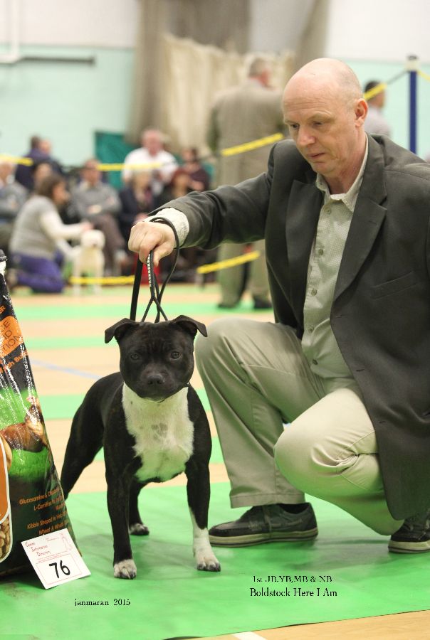 NWSBTC Ch show 1st JB,YB,MB, & NB_edited-1