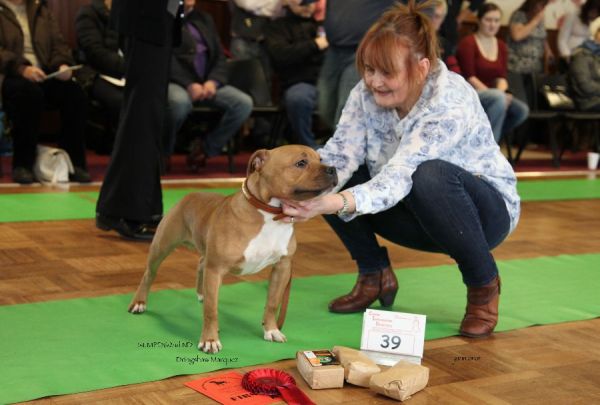 Dringshaw Marquez 1st MPD NWSBTC limit 18.1_edited-1