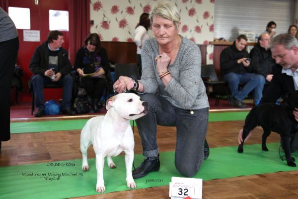 OB,BB & RBIS NW limit 18.1_edited-1