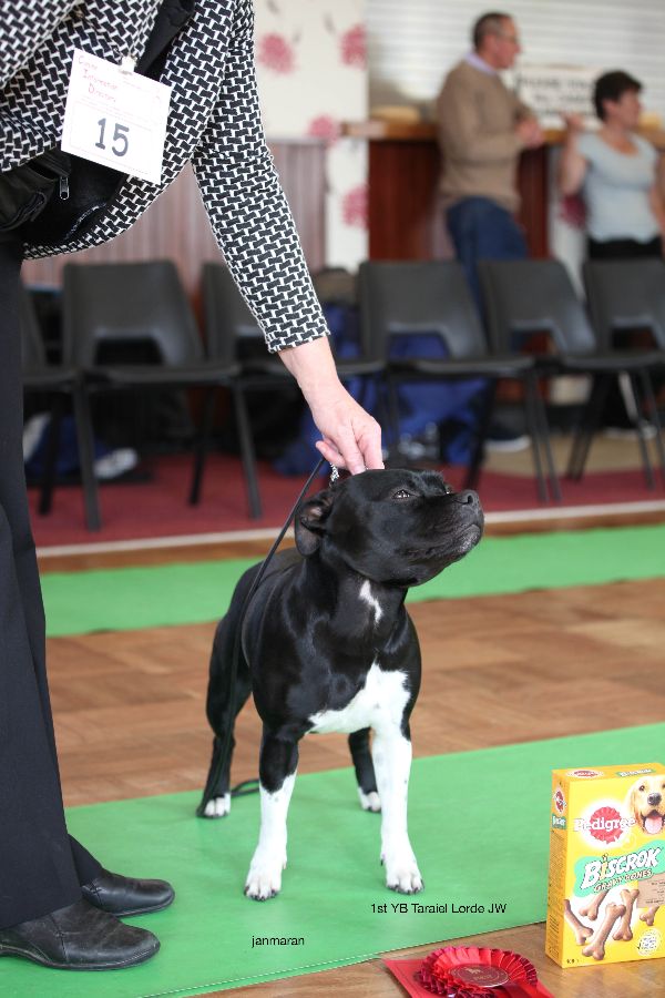 1st YB nwsbtc open 11.10