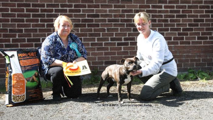 1st MPD and BPIS NW open show 17.4