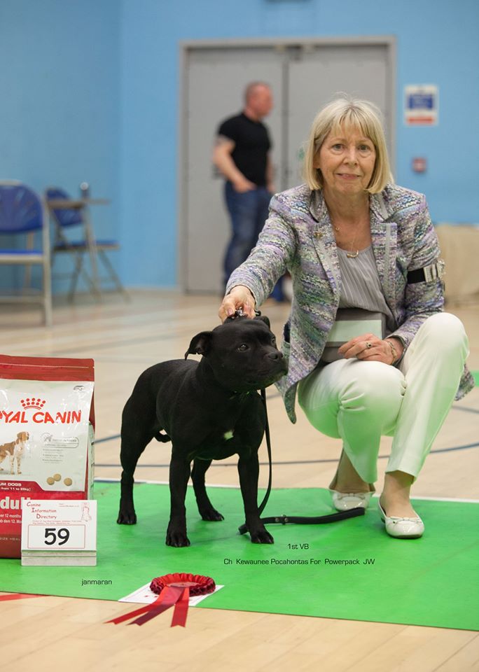 18. Veteran bitch 1st