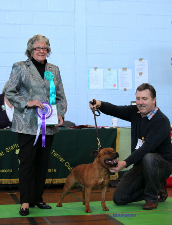 2012 Ch BIS hubbulls-nebraska-at-mountarw-bis_1