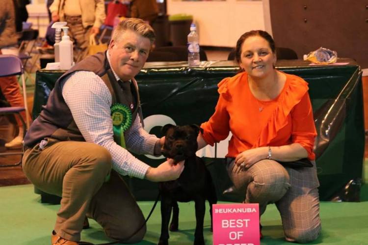 23032361_2164296503596674_1730959503045060499_n