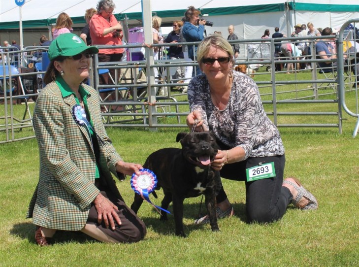 BP Little Earthquakes Power Strike at Waystaff