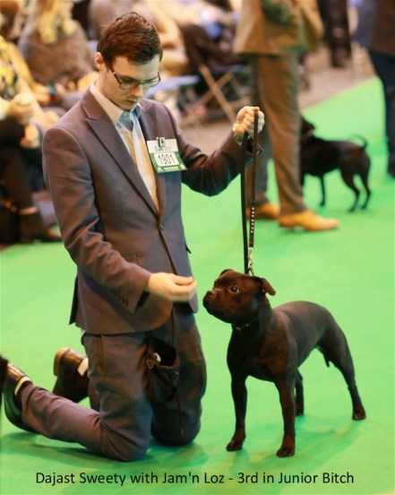 Dajast Sweety with Jam'n Loz - 3rd in Junior B