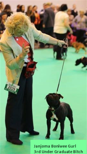 Janjoma Boniwee Gurl 3rd Under Grad Bitch