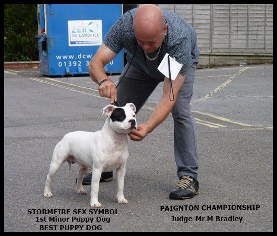 Paignton 2018 Stormfire Sex Symbol 1st MPD