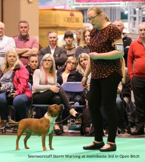 Seenworstaff Storm Warning at Joemikeste 3rd Open b